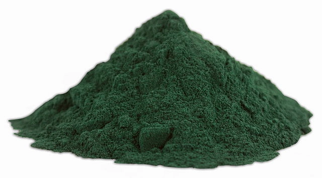 Vodní řasa spirulina