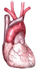 Angina pectoris