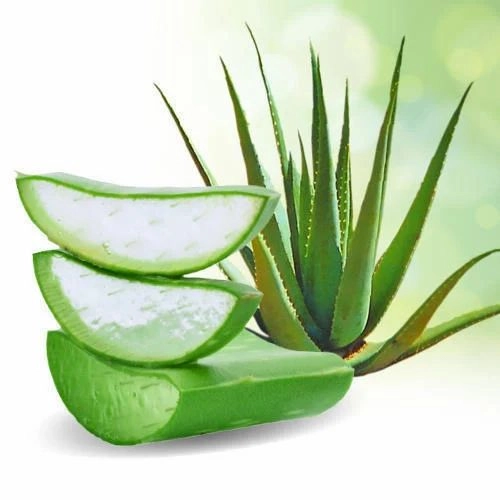 Výroba domácího krému z aloe vera